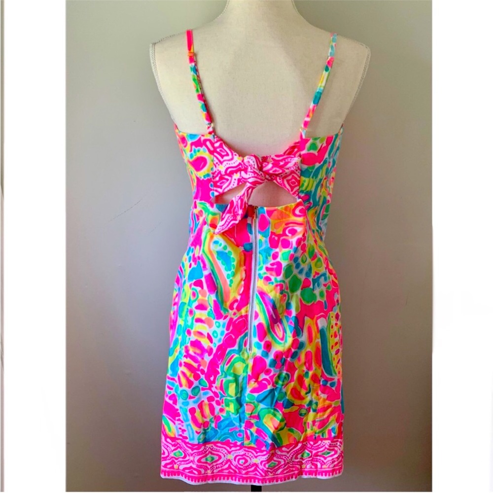 Beautiful Lilly Pulitzer dress never worn . Smoke free home. New with tag